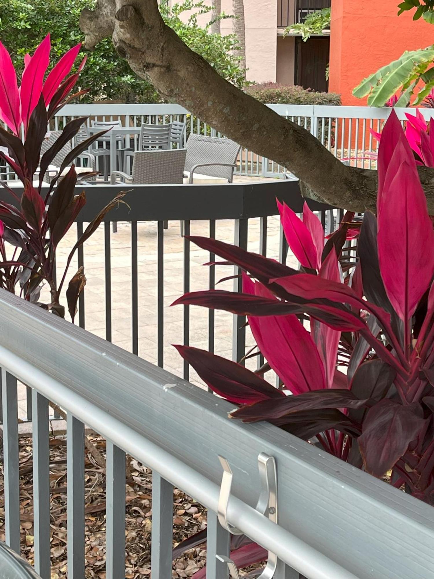 Grand Hotel Orlando At Universal Blvd - Shuttle To Theme Parks Экстерьер фото
